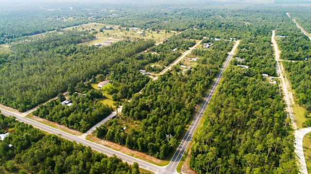 NW Lakeview Rd, Altha, FL 32421