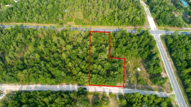 NW Lakeview Rd, Altha, FL 32421