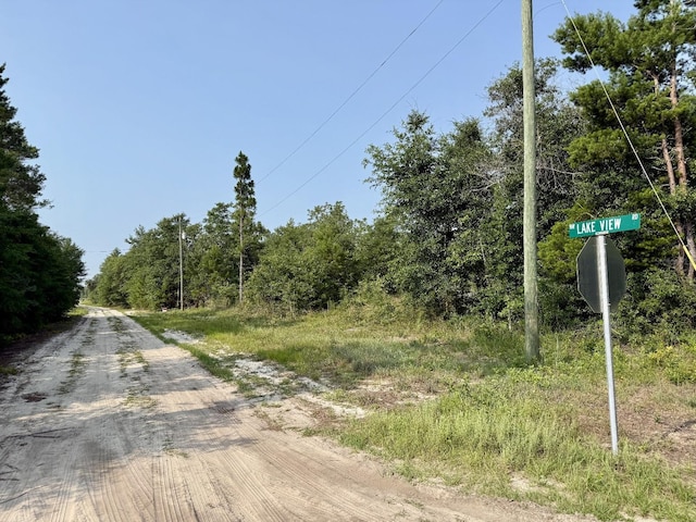 NW Lakeview Rd, Altha, FL 32421
