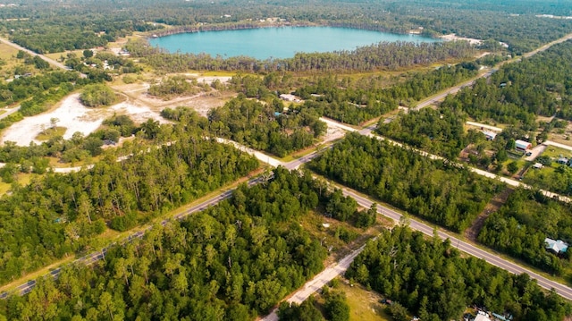 NW Lakeview Rd, Altha, FL 32421