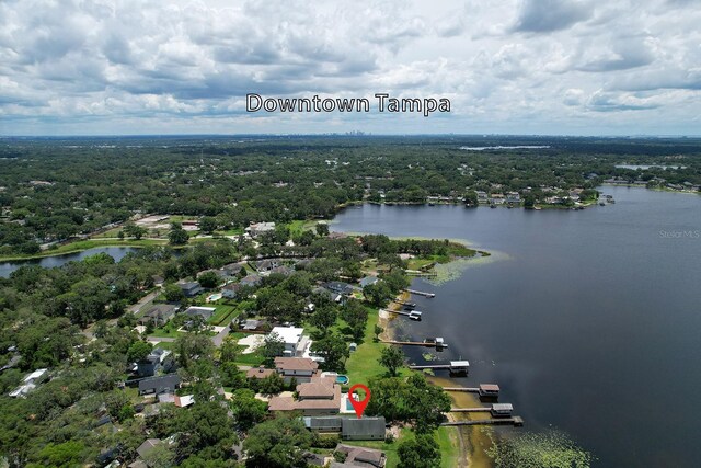 14808 Lake Magdalene Cir, Tampa, FL 33613 - bird's eye view of a large body of water and a heavily wooded area