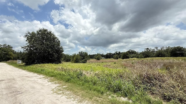 Wells, Wesley Chapel, FL 33545