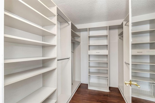 7300 Sun Island Dr S Unit 1505, South Pasadena, FL 33707 - walk in closet featuring wood finished floors