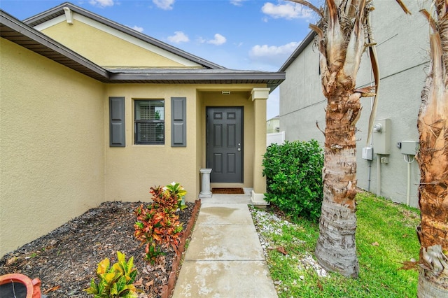 14206 Covert Green Pl, Riverview, FL 33579 - view of exterior entry with stucco siding