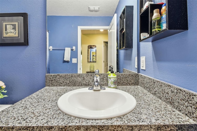 14206 Covert Green Pl, Riverview, FL 33579 - bathroom featuring a textured wall and vanity