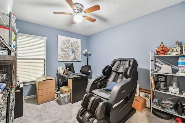 14206 Covert Green Pl, Riverview, FL 33579 - carpeted home office with a ceiling fan