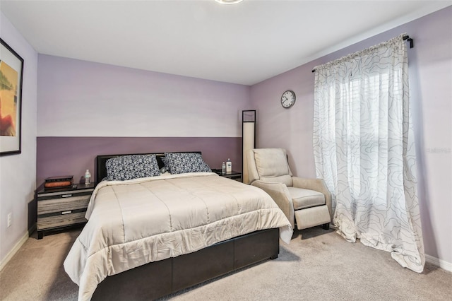 14206 Covert Green Pl, Riverview, FL 33579 - bedroom featuring carpet flooring and baseboards