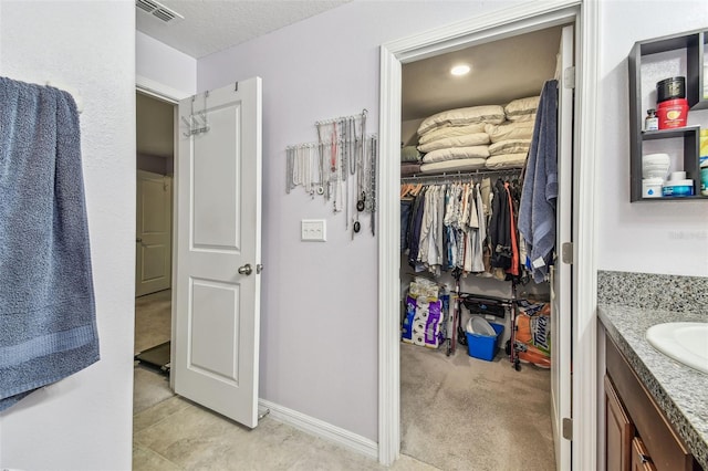 14206 Covert Green Pl, Riverview, FL 33579 - bathroom featuring vanity, baseboards, and a spacious closet