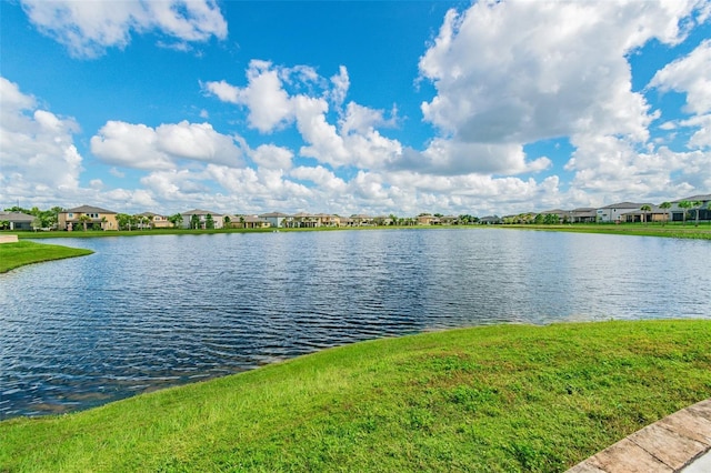 14206 Covert Green Pl, Riverview, FL 33579 - water view with nearby suburban area