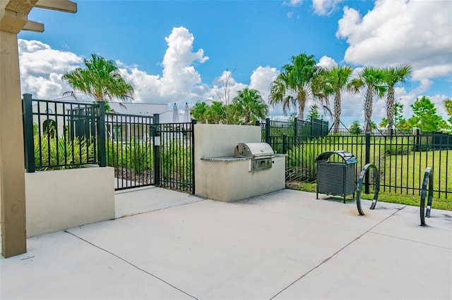 14206 Covert Green Pl, Riverview, FL 33579 - gate featuring a patio