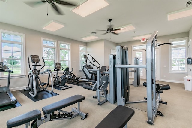 14206 Covert Green Pl, Riverview, FL 33579 - workout area with ceiling fan, baseboards, and carpet