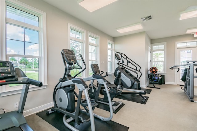 14206 Covert Green Pl, Riverview, FL 33579 - exercise room featuring baseboards and carpet flooring