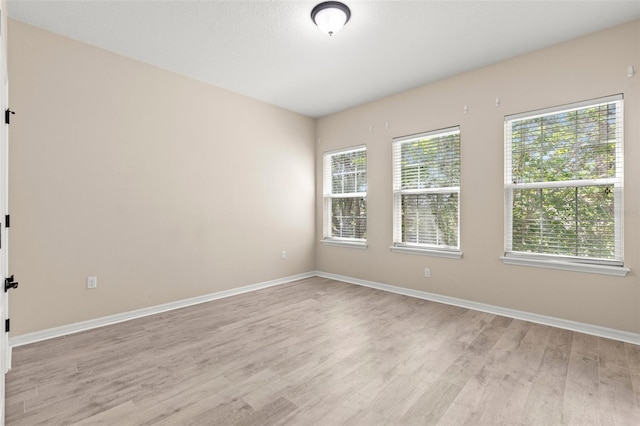 7001 Interbay Blvd Unit 242, Tampa, FL 33616 - photo 16