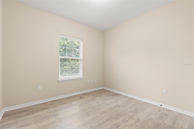 7001 Interbay Blvd Unit 242, Tampa, FL 33616 - photo 20