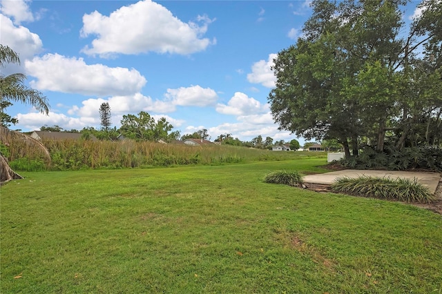 1717 Osprey Ln, Lutz, FL 33549 - view of green lawn