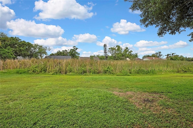 1717 Osprey Ln, Lutz, FL 33549 - view of green lawn with a view of countryside