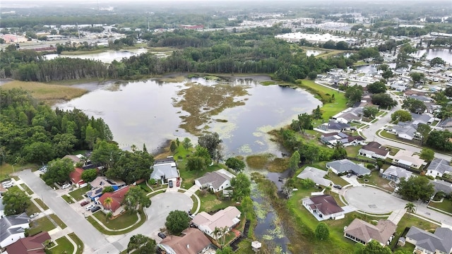 1717 Osprey Ln, Lutz, FL 33549 - aerial view of property's location featuring a large body of water and nearby suburban area