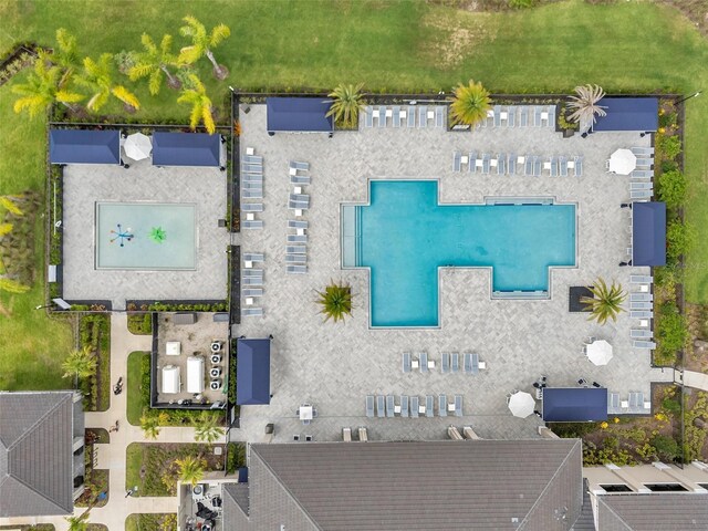 32490 Tree Of Life Ave, Wesley Chapel, FL 33543 - drone / aerial view of a pool