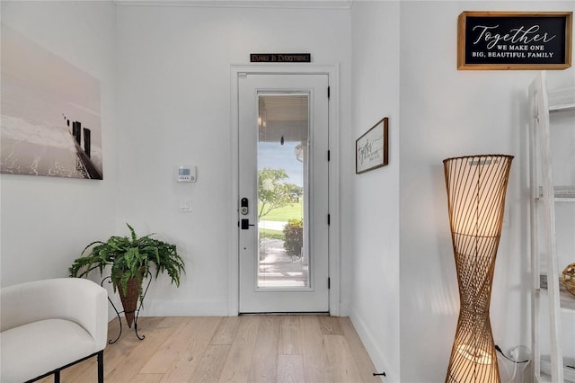 6512 Simone Shores Cir, Apollo Beach, FL 33572 - entrance foyer featuring light wood-type flooring