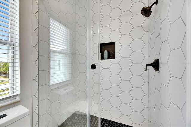 6512 Simone Shores Cir, Apollo Beach, FL 33572 - full bathroom with toilet and a stall shower