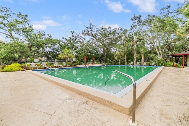 2699 Seville Blvd Unit 207, Clearwater, FL 33764 - community pool featuring view of scattered trees