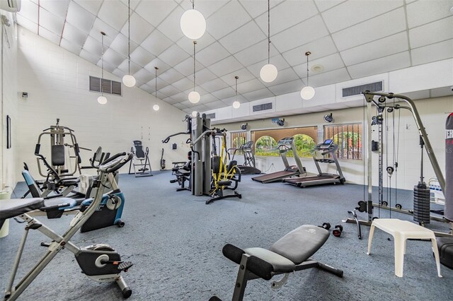 2699 Seville Blvd Unit 207, Clearwater, FL 33764 - gym featuring high vaulted ceiling