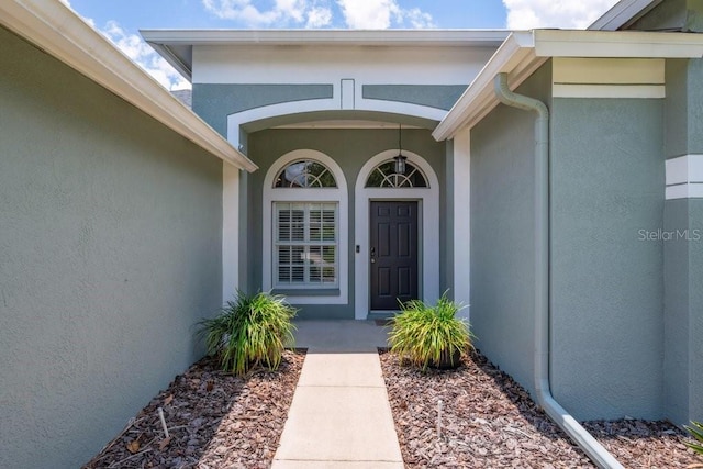 15309 Palomapark Ln, Lithia, FL 33547 - property entrance featuring stucco siding