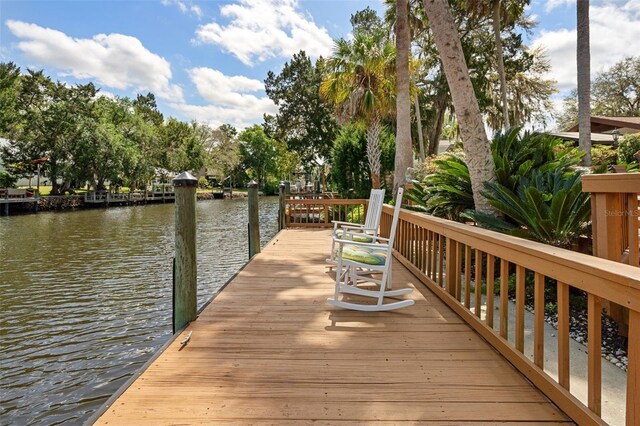 11671 W Riverhaven Dr, Homosassa, FL 34448 - photo 13