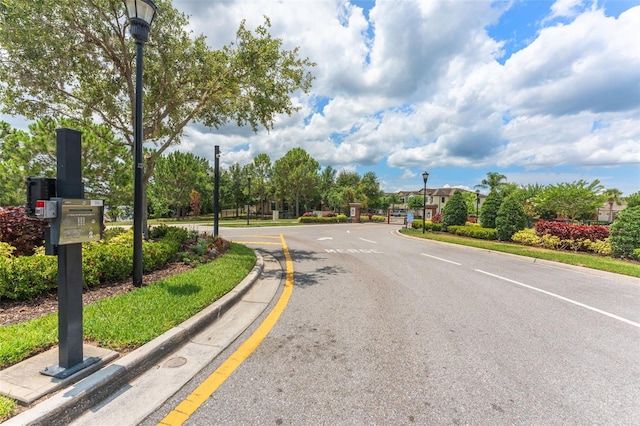 11526 Crowned Sparrow Ln, Tampa, FL 33626 - photo 41
