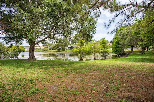 11638 Branch Mooring Dr, Tampa, FL 33635 - view of green lawn featuring a water view