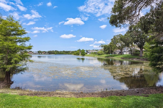 11638 Branch Mooring Dr, Tampa, FL 33635 - water view