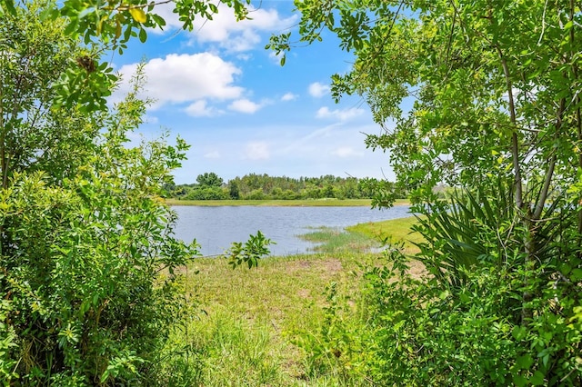 12244 Fairlawn Dr, Riverview, FL 33579 - water view