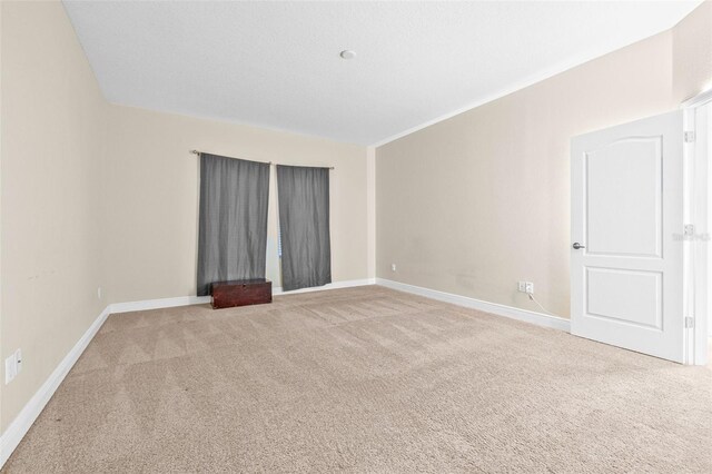 10707 Pegasus Valley Ct, Tampa, FL 33647 - photo 16