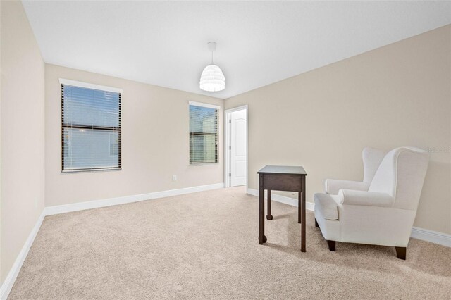 10707 Pegasus Valley Ct, Tampa, FL 33647 - photo 26