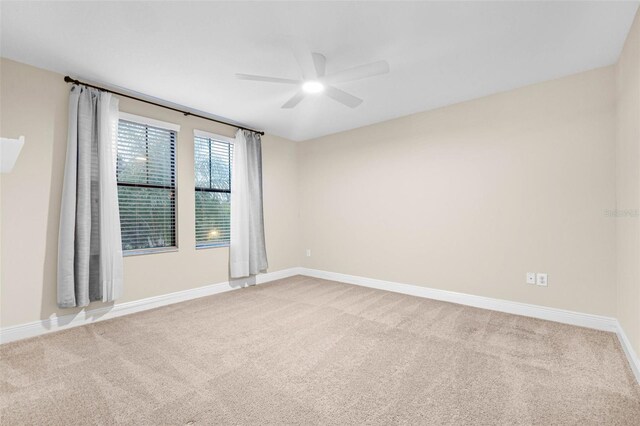 10707 Pegasus Valley Ct, Tampa, FL 33647 - photo 27