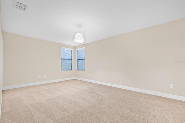 10707 Pegasus Valley Ct, Tampa, FL 33647 - photo 30