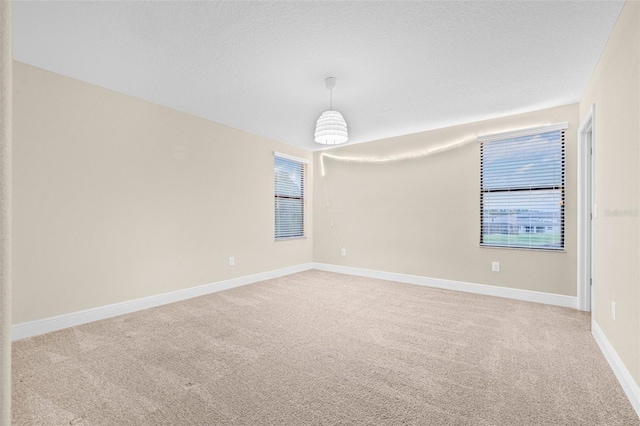 10707 Pegasus Valley Ct, Tampa, FL 33647 - photo 31