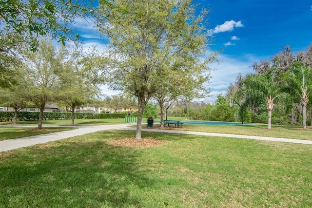 10707 Pegasus Valley Ct, Tampa, FL 33647 - photo 43
