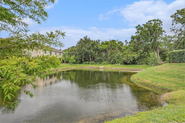 2844 Jacob Crossing Ln, Holiday, FL 34691 - water view