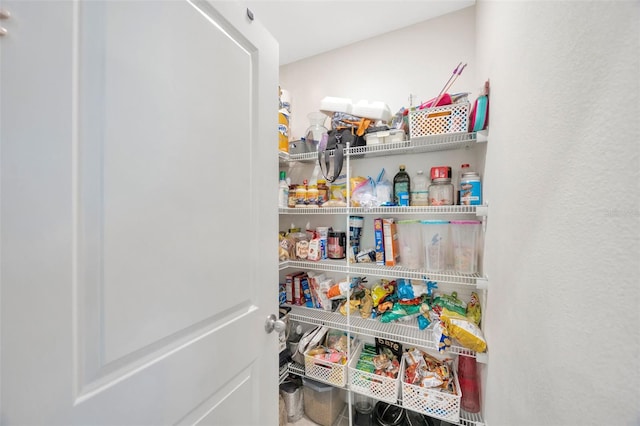 14716 Crescent Rock Dr, Wimauma, FL 33598 - view of pantry