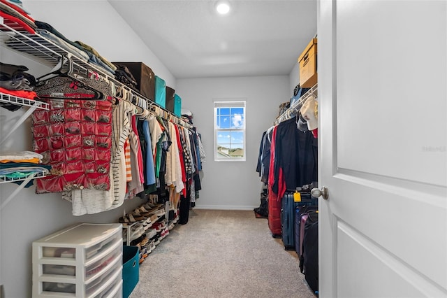 16121 Soft Fern Trce, Odessa, FL 33556