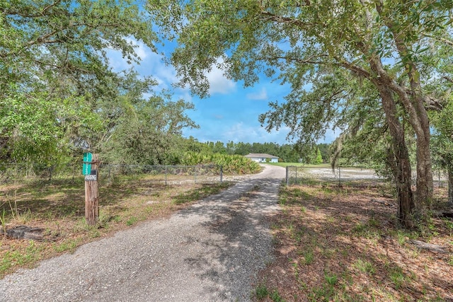 17023 Alderman Turner Rd, Wimauma, FL 33598 - view of dirt / gravel driveway with a gated entry