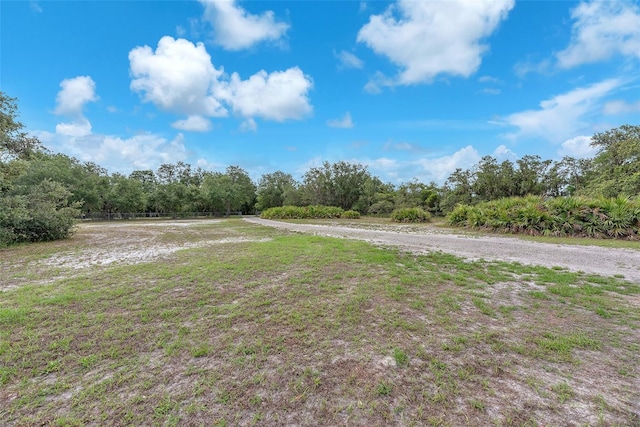 17023 Alderman Turner Rd, Wimauma, FL 33598 - view of yard