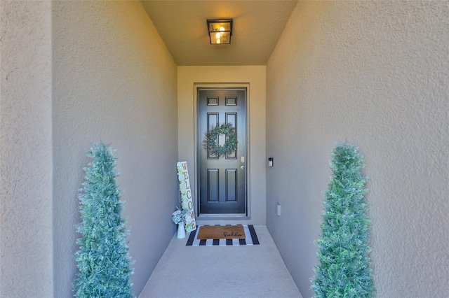 12382 Shining Willow St, Riverview, FL 33579 - photo 4