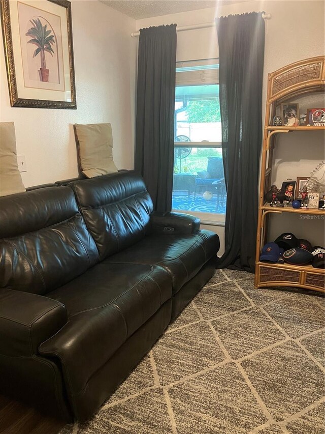 6905 Summer Harbor Ln, Riverview, FL 33578 - living area featuring carpet