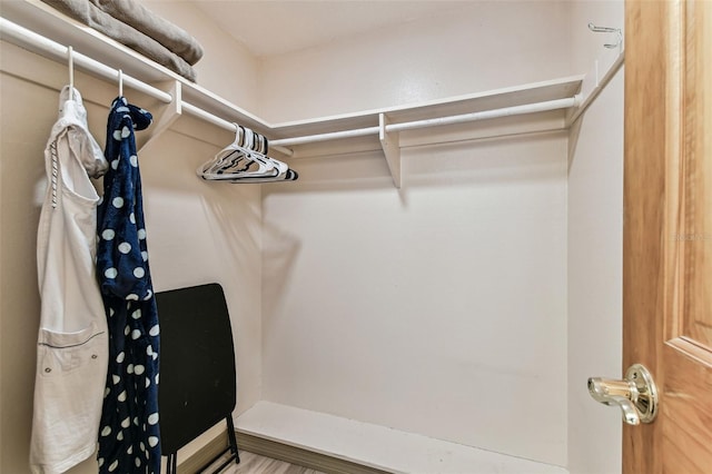 12101 Meadowbrook Ln, Hudson, FL 34667 - view of walk in closet