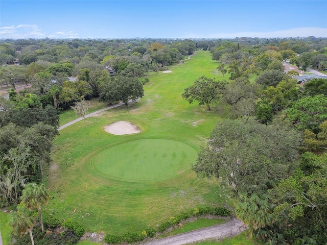 12101 Meadowbrook Ln, Hudson, FL 34667 - drone / aerial view of a local golf course