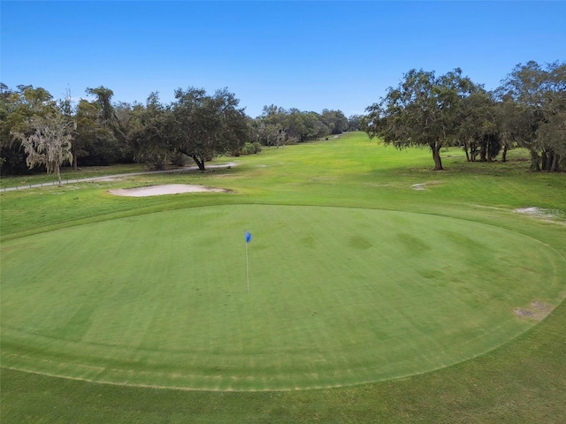12101 Meadowbrook Ln, Hudson, FL 34667 - view of community with view of golf course, view of wooded area, and a yard