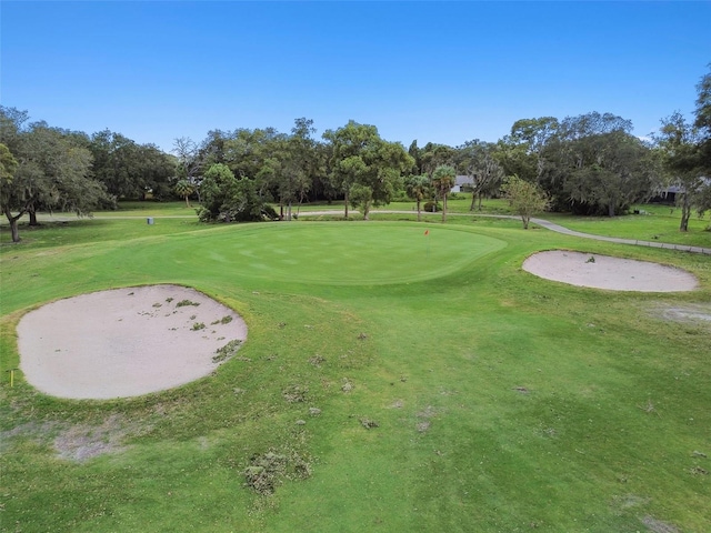 12101 Meadowbrook Ln, Hudson, FL 34667 - view of home's community featuring view of scattered trees, view of golf course, and a yard