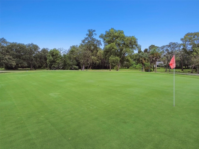 12101 Meadowbrook Ln, Hudson, FL 34667 - view of home's community with view of wooded area